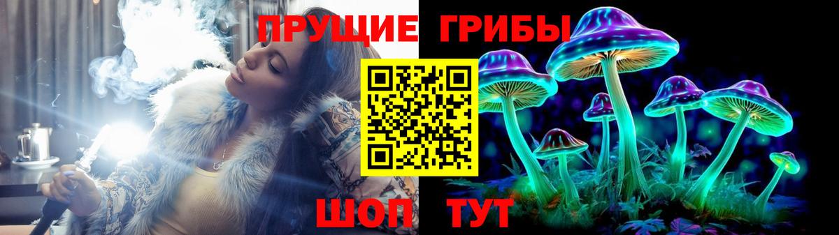 Псилоцибиновые грибы мицелий Дубна
